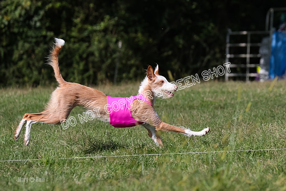 Open Prelim A2, Madyson, Razz-7649