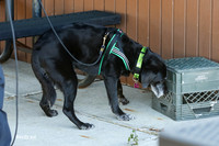 MCH58069