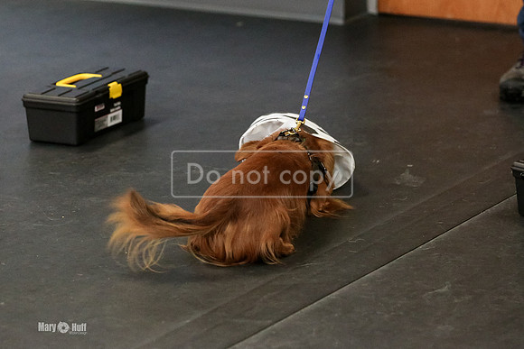 MCH57668