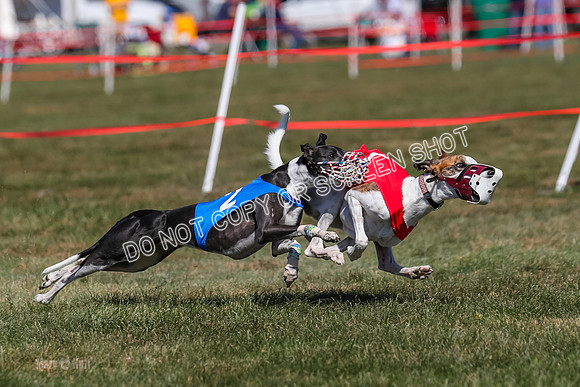 Prg 3, Race 9, Bibi Maybe Nami Rosie-2168