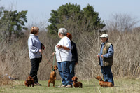 Dachshund Field Trial, IL