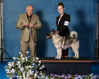 Elkhound 2020-1084