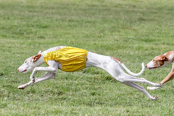 Finals, Open B2 Willow Zest Juma-7786