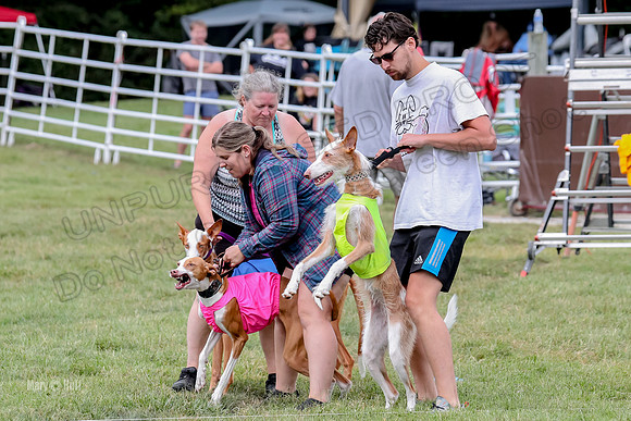 Finals, Specials 2 Fern Beastie Penny-7315