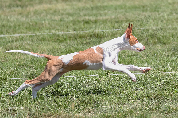 AE4I9120