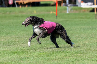Prelim, Vera-Rainbow-3537