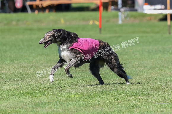 Prelim, Vera-Rainbow-3537
