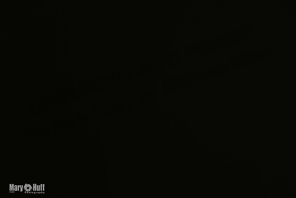 AE4I1052