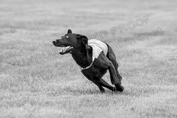 Prelims Rowan-0857-2