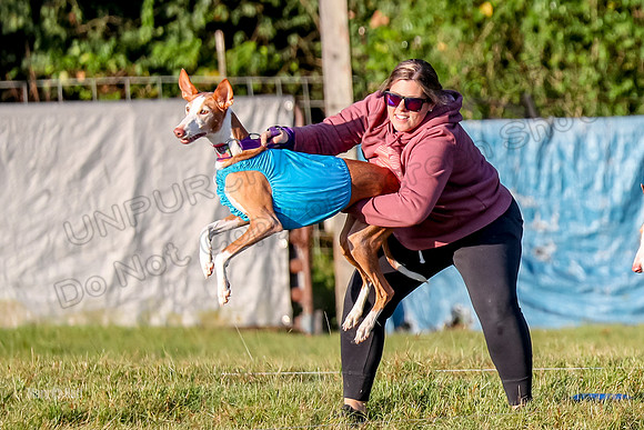 Prelims, Veteran 1 Meme Binx Izzy-9779