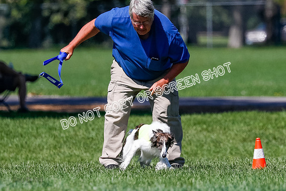 Silken Windhound Finals, Finnegan-3955