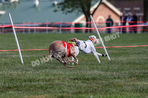 Prg 1, race 4, Rarity Hillary Barley Clyps-0661