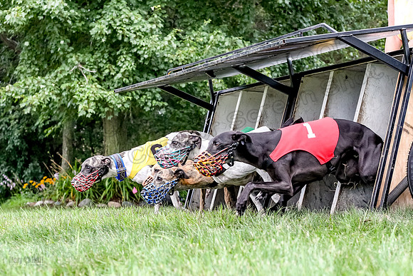 prg 1 race 3 Julian Guy Valerie Meatloaf Rhylie Quinn-3554