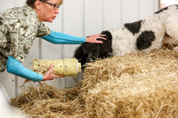 MCH59287