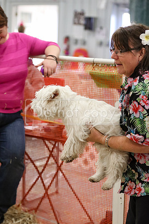 MCH59303