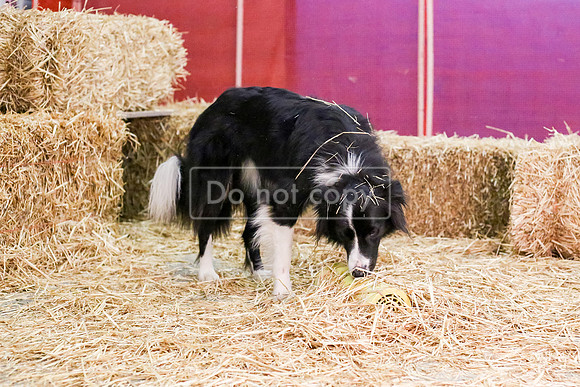 MCH59947