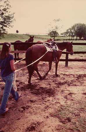 Me working with a filly