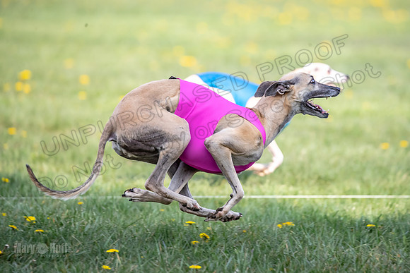 1 Prelim Veterans 1 Bandit Justice Raya-6810