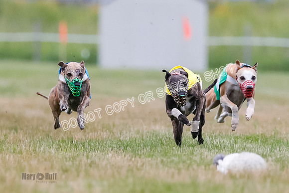 Prg 3, Race 5, Sid-Alex-Zed-Fama-Talim-1171
