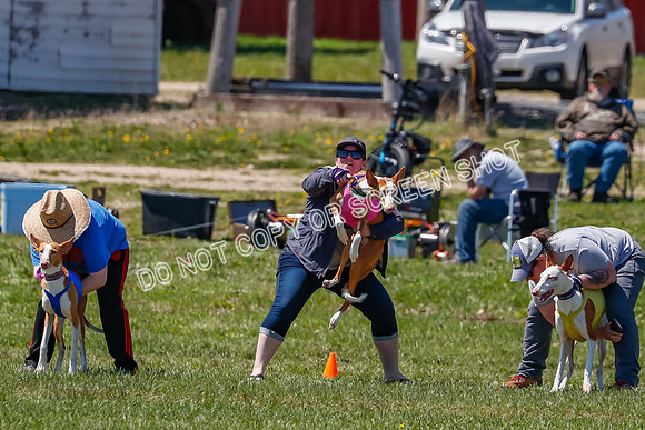 Prelim-3892
