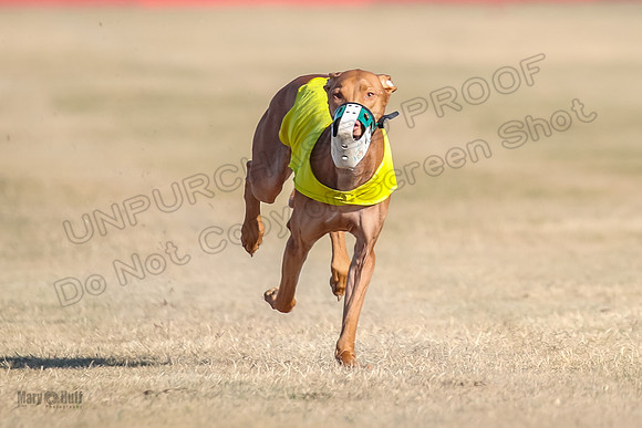 1Prelims Spec 2 Tango Cuest-0903