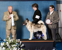 Elkhound 2020-1063