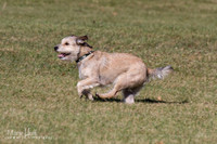 IMG_1563