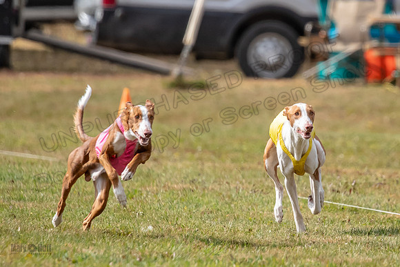 Finals Open 1 Jagger Maverick-2998