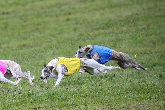 Prelim Open E1, Rip Mateo Maverick-9017