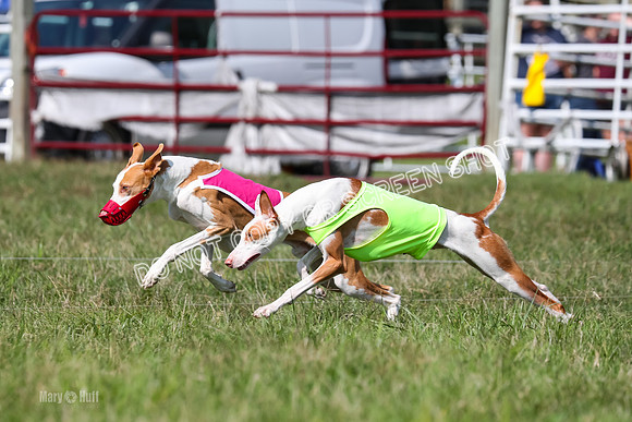 Open Prelim B2, Latte, Wizard-7858
