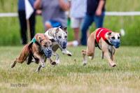 Prg 2, Race 4, Marty, Bogie, Denim, Meatloaf, Blaze, Raz-3-6