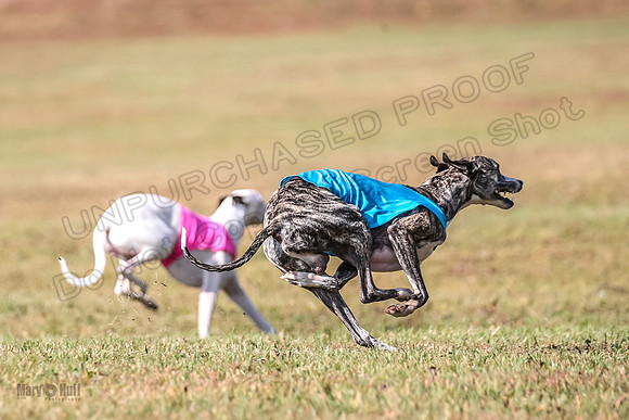Finals Fch 1 Celine Huxley-3970