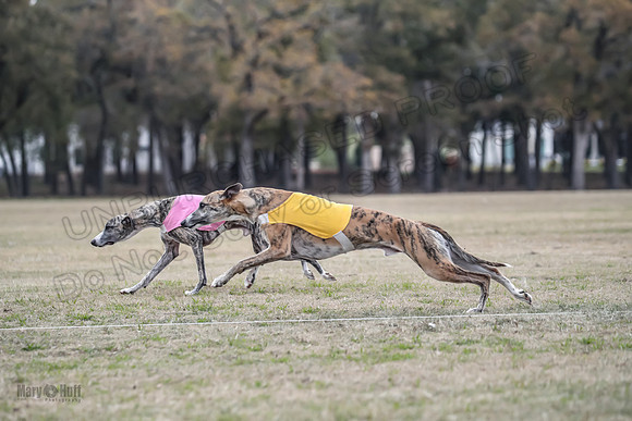 Finals Open 1 Steel Maverick Eggsy-3845
