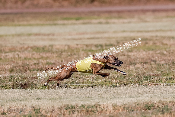 Open, Prelim, Amp-Hoot-Quinn-4346-2