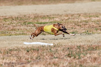 Open, Prelim, Amp-Hoot-Quinn-4348