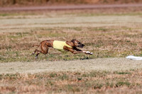 Open, Prelim, Amp-Hoot-Quinn-4347