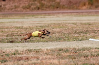 Open, Prelim, Amp-Hoot-Quinn-4346