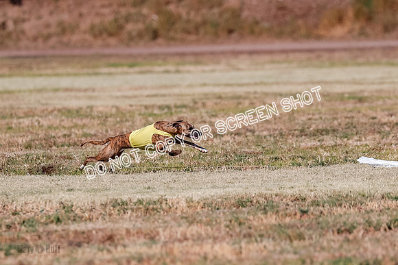 Open, Prelim, Amp-Hoot-Quinn-4346
