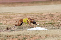 Open, Prelim, Amp-Hoot-Quinn-4352