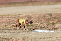 Open, Prelim, Amp-Hoot-Quinn-4353