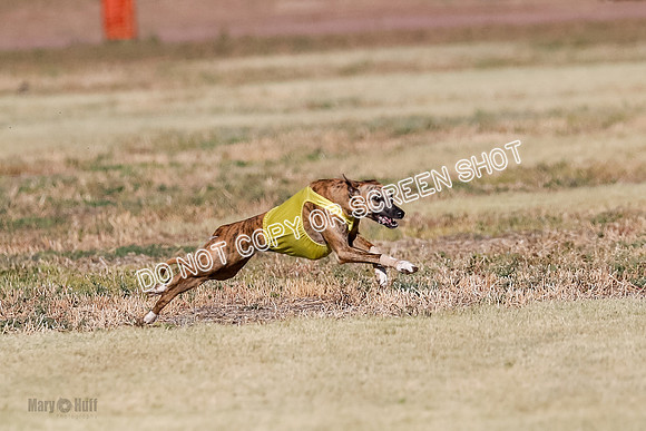 Open, Prelim, Amp-Hoot-Quinn-4354
