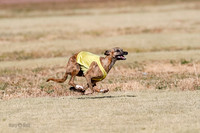 Open, Prelim, Amp-Hoot-Quinn-4355