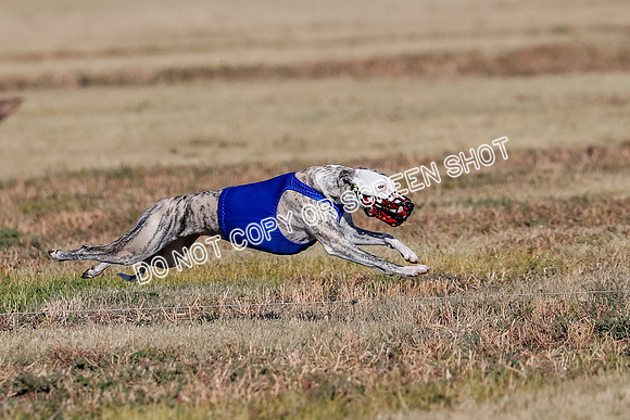 Open, Prelim, Amp-Hoot-Quinn-4358