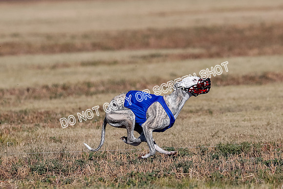 Open, Prelim, Amp-Hoot-Quinn-4360