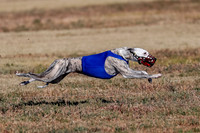 Open, Prelim, Amp-Hoot-Quinn-4363
