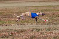 Open, Prelim, Carly-Zuma-Jet-4373