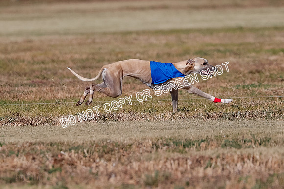 Open, Prelim, Carly-Zuma-Jet-4373