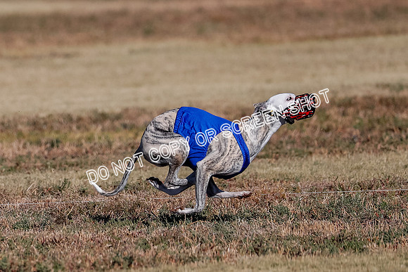 Open, Prelim, Amp-Hoot-Quinn-4364