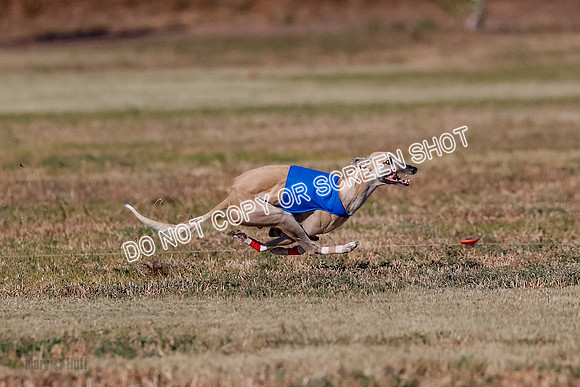 Open, Prelim, Carly-Zuma-Jet-4374