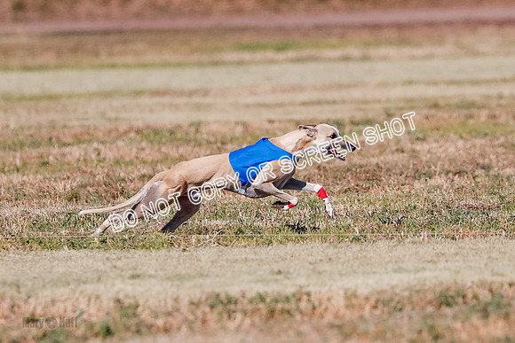 Open, Prelim, Carly-Zuma-Jet-4378